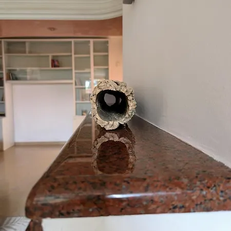 Oasi Sul Golfo 아파트 콰르투 산텔레나