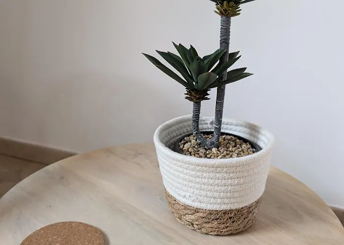 Oasi Sul Golfo 公寓 夸尔图-圣埃莱娜